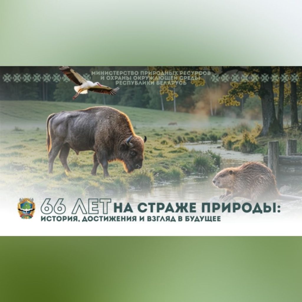 66 лет на страже родной природы: история, достижения и взгляд в будущее